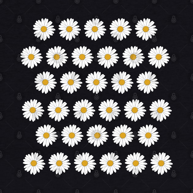 daisies by amenij